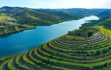 重點(diǎn)行業(yè)VOCs治理“一企一策”！寧夏空氣質(zhì)量持續(xù)改善行動(dòng)實(shí)施方案公開征求意見