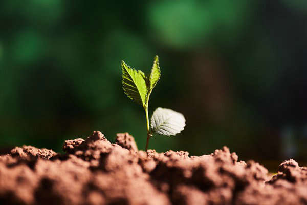 精準(zhǔn)溯源！南京積極探索農(nóng)業(yè)面源污染防治新模式