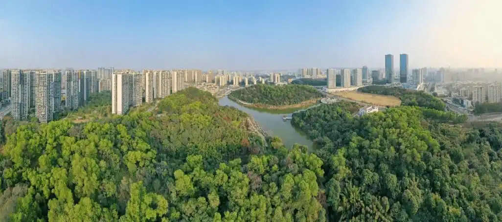 “三進(jìn)三同”攜手共進(jìn)，江門站助力區(qū)縣監(jiān)測見成效