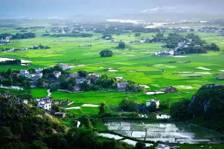 政府工作報告出爐，2025年生態(tài)環(huán)保工作這么干！