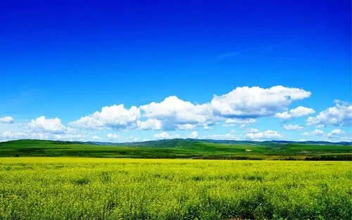 深港強化生態(tài)環(huán)境領(lǐng)域規(guī)則銜接與機制對接，攜手共赴美麗中國先行區(qū)之約 