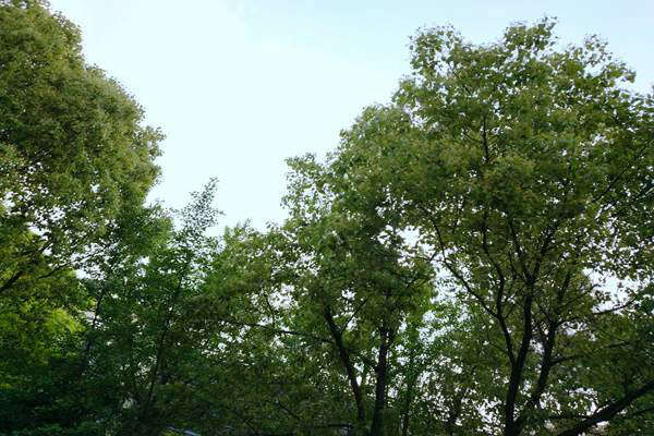 “統(tǒng)籌治理+精準(zhǔn)監(jiān)管” 汽開區(qū)打響臭氧污染防控戰(zhàn)