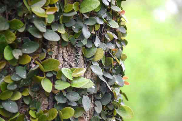 全國已建成“兩級、三類、一清單”的生態(tài)環(huán)境分區(qū)管控體系 