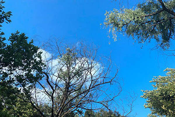 筑牢“真準全”數(shù)據(jù)基石，數(shù)智賦能打贏藍天保衛(wèi)戰(zhàn) 