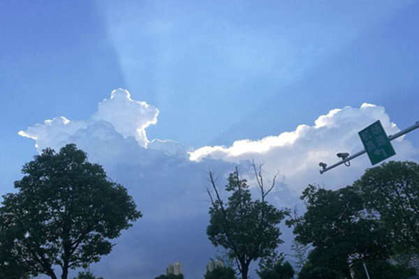 安徽臭氧防控的科技逆襲：走航監(jiān)測精準狙擊，污染天數(shù)驟降近三成！