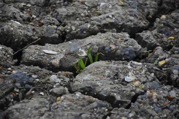 和田地區(qū)全域開展危廢規(guī)范化評估 守護生態(tài)環(huán)境安全