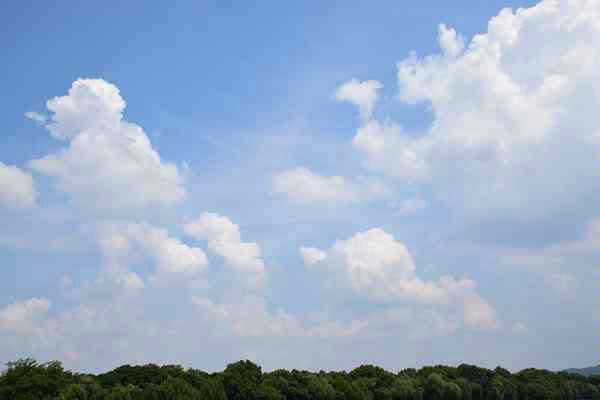 精準“削峰”戰(zhàn)臭氧，全力守護“瓷都藍”