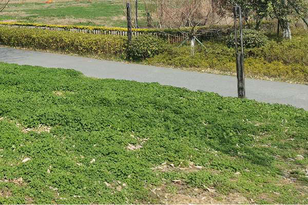 筑牢質(zhì)量“安全線”！珠海市生態(tài)環(huán)境局等四部門加強建設(shè)用地土壤環(huán)境聯(lián)動監(jiān)管服務(wù)