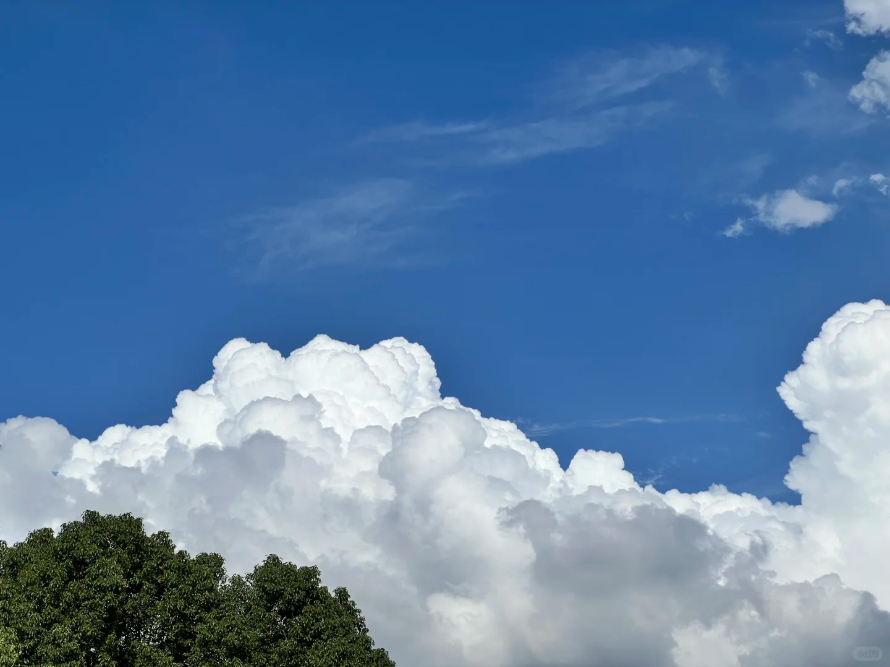 廣州藍，8微克閃耀全運！從化綠，6微克奠定基石！