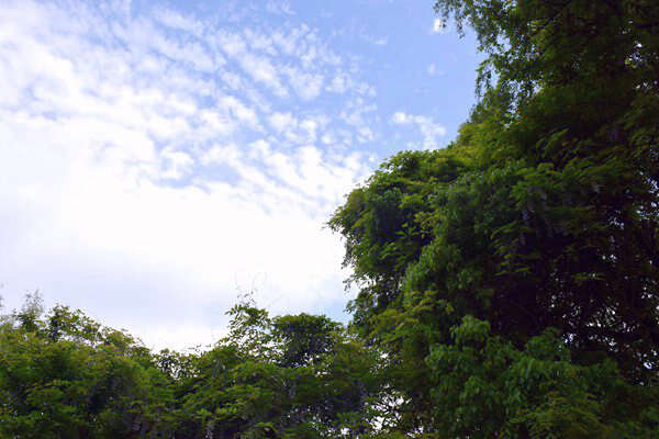 生態(tài)環(huán)境部部長黃潤秋出席甲烷與其他非二氧化碳溫室氣體峰會并會見外方高級代表