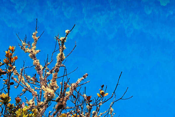 生態(tài)環(huán)境部部長黃潤秋出席COP30“中國角”系列邊會活動并會見外方高級代表