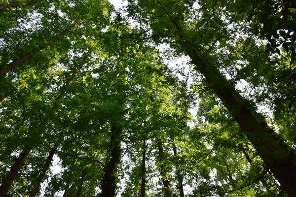 《河北省噪聲污染防治報告（2025年）》發(fā)布